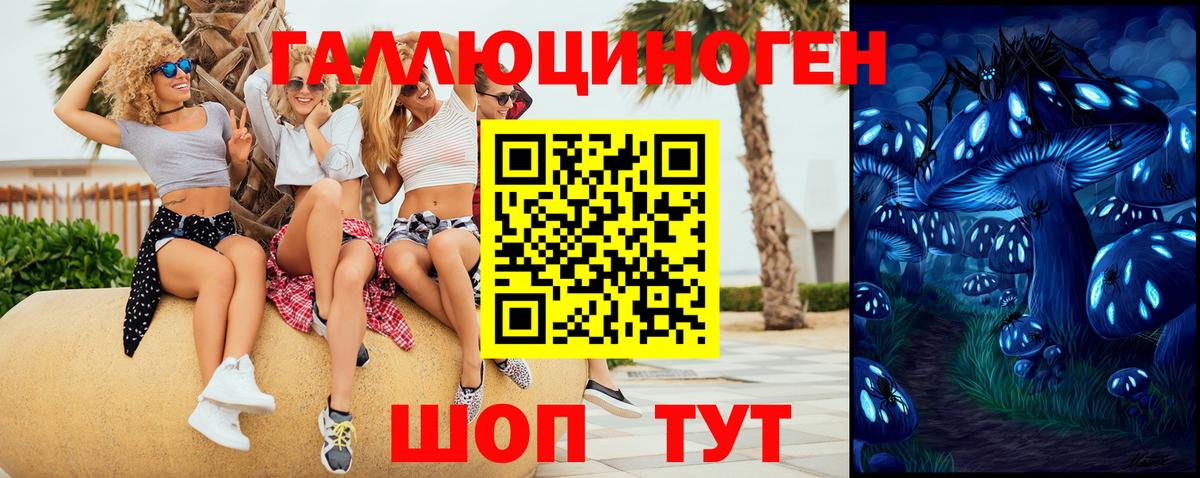 Кизилюрт  Псилоцибиновые грибы прущие грибы  Вход с VPN 