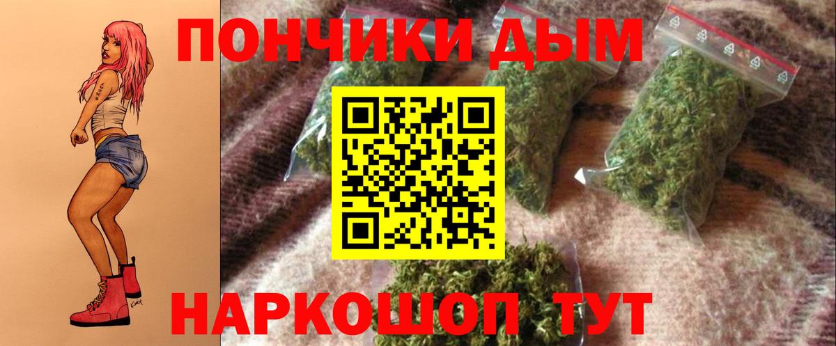 Бошки марихуана White Widow Кизилюрт